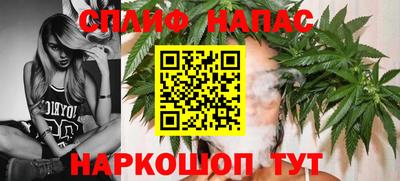 шишки Кинель