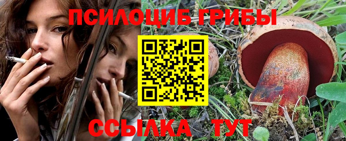 Псилоцибиновые грибы GOLDEN TEACHER Шебекино