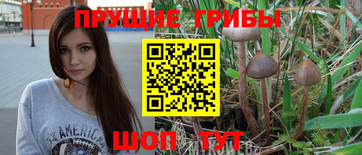 Псилоцибиновые грибы GOLDEN TEACHER  Вход с VPN  Шебекино 