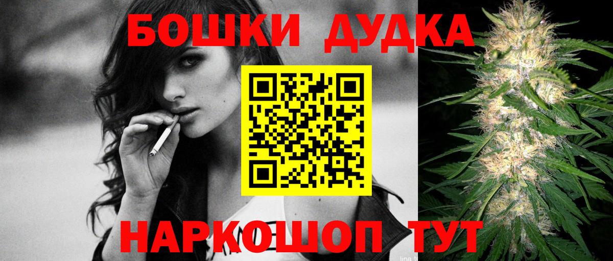 Бошки Шишки планчик Шебекино